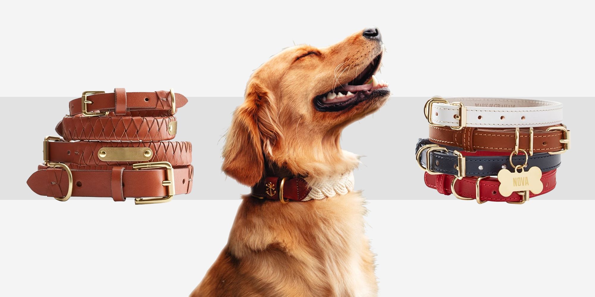 Fashionable Dog Collars